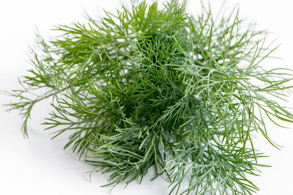 dill