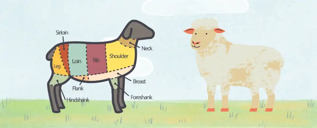 (Ilustrasi Kambing, Sumber: Freepik)