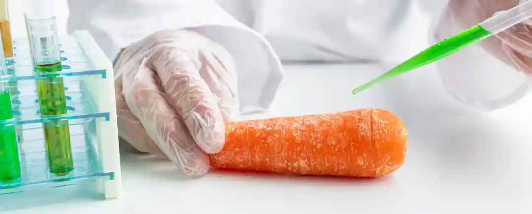 (Ilustrasi Pengawet Makanan dengan Bahan Kimia, Sumber: Freepik)