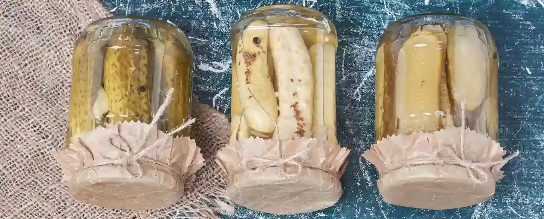 (Ilustrasi Fermentasi Makanan, Sumber: freepik.com/azerbaijan-stockers)