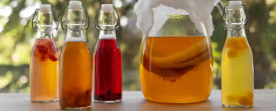 (Ilustrasi dari Fermentasi, Sumber: Freepik)