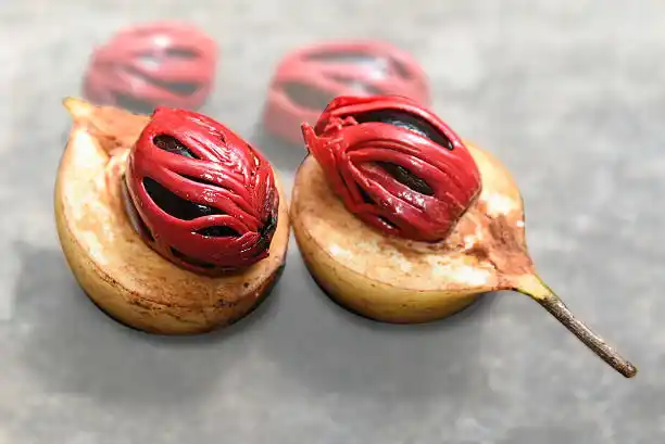 bunga pala