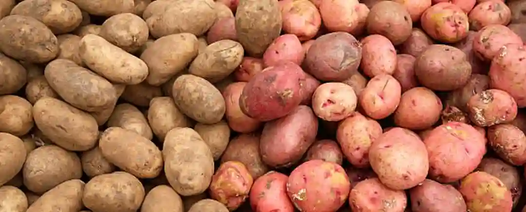 potatoes