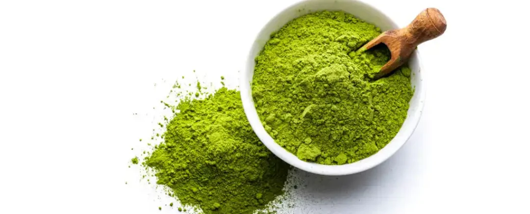 Bubuk Matcha