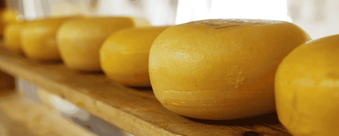 (Ilustrasi Keju, Sumber: pixabay.com/publicdomainpictures)