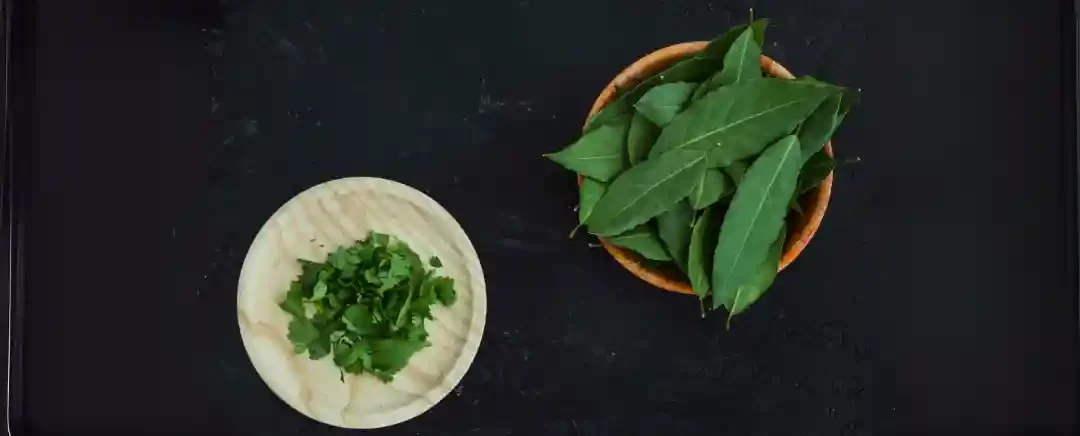 (Ilsuutrasi Daun Salam, Sumber: Freepik)