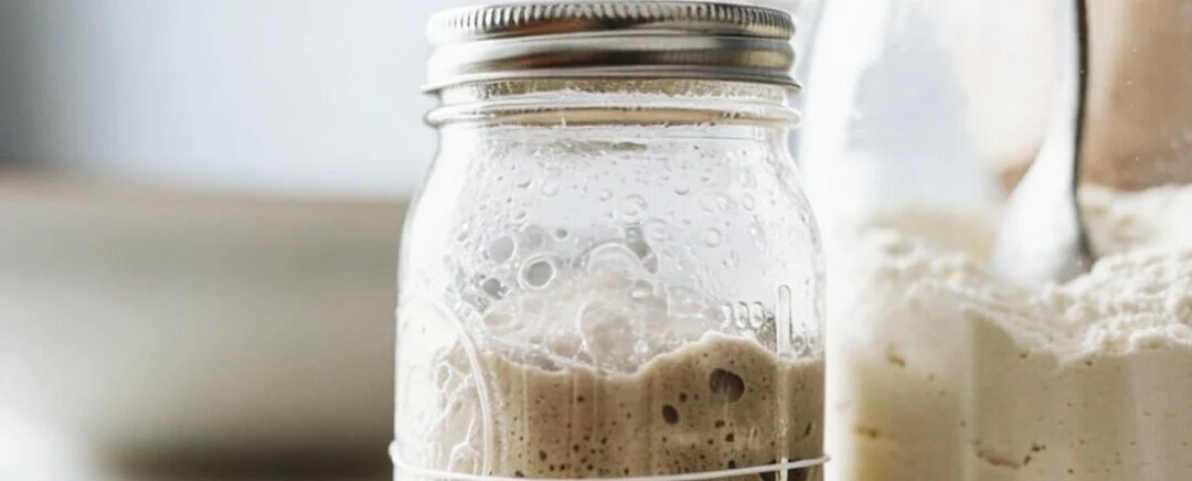 Starter Sourdough