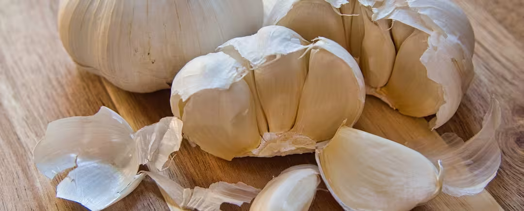 bawang putih terkelupas