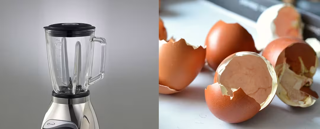 blender dan cangkang telur
