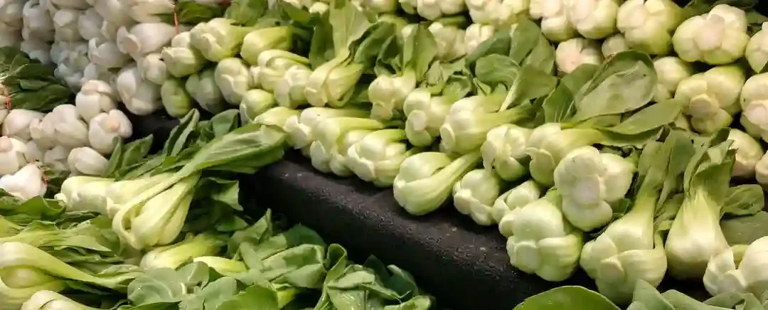 bokchoy