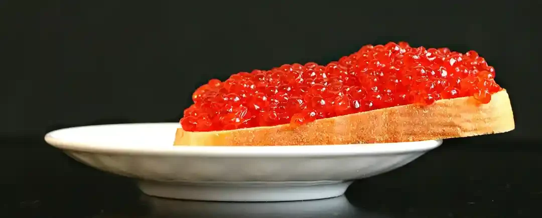 caviar salah satu bahan makanan termahal di dunia