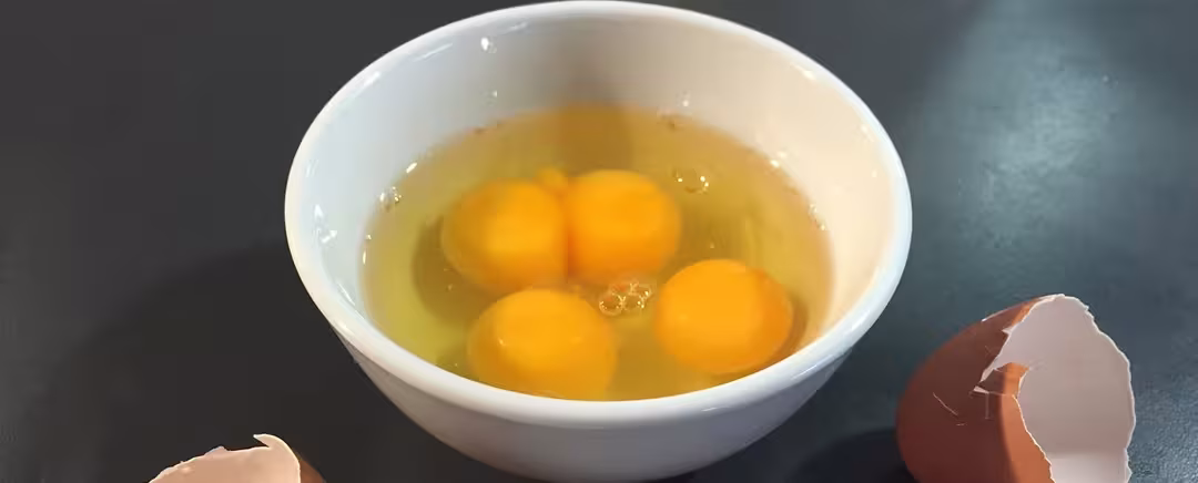kuning telur dan putih telur