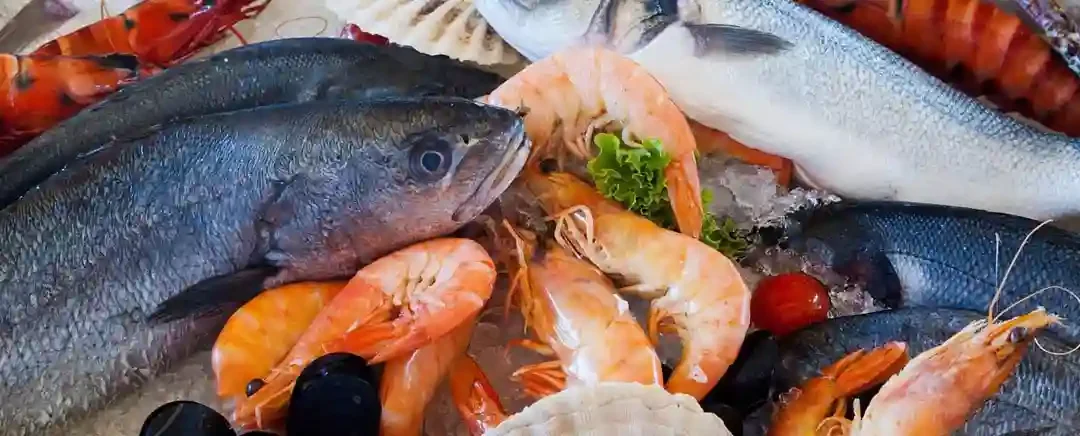 seafood